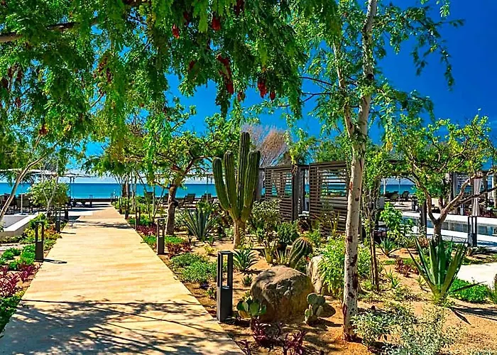 Solaz, A Luxury Collection Resort, Cabos Hotel